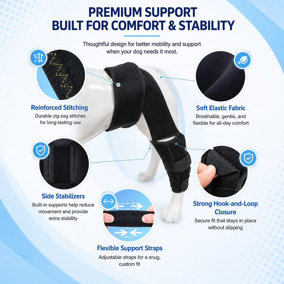 Paws in Awe Adjustable Dog Leg Support Brace for Daily Walks - Support for Weak Front or Hind Legs image 9