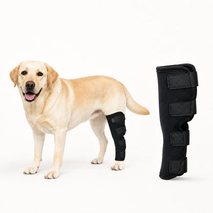 Paws in Awe Dog Leg Recovery Brace for Post-Surgery Care, Adjustable Rear Leg Support to Help Protect Against Licking & Chewing image 1