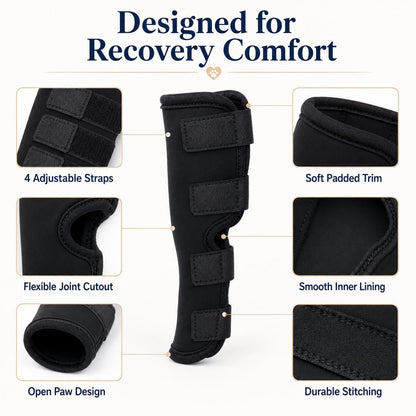 Paws in Awe Dog Leg Recovery Brace for Post-Surgery Care, Adjustable Rear Leg Support to Help Protect Against Licking & Chewing image 9