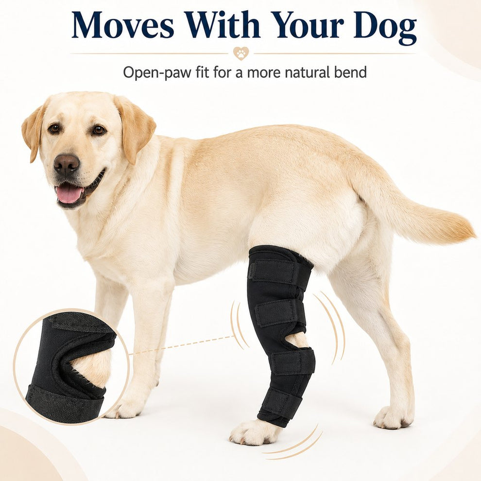 Paws in Awe Dog Leg Recovery Brace for Post-Surgery Care, Adjustable Rear Leg Support to Help Protect Against Licking & Chewing image 6