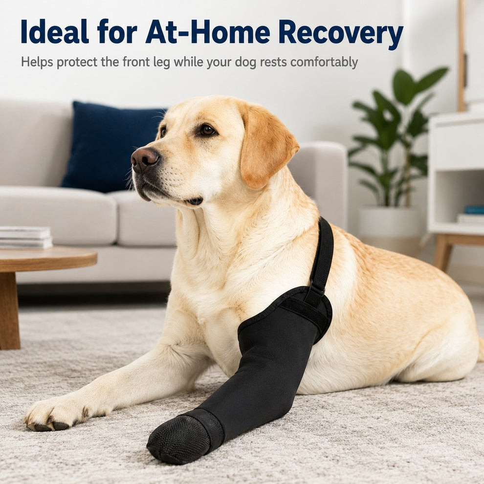 Paws in Awe Dog Front Leg Protective Sleeve for Recovery & Walks - Helps Reduce Licking image 2