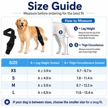 Paws in Awe Adjustable Dog Leg Support Brace for Daily Walks - Support for Weak Front or Hind Legs image 10