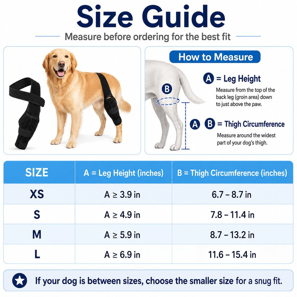 Paws in Awe Adjustable Dog Leg Support Brace for Daily Walks - Support for Weak Front or Hind Legs image 10