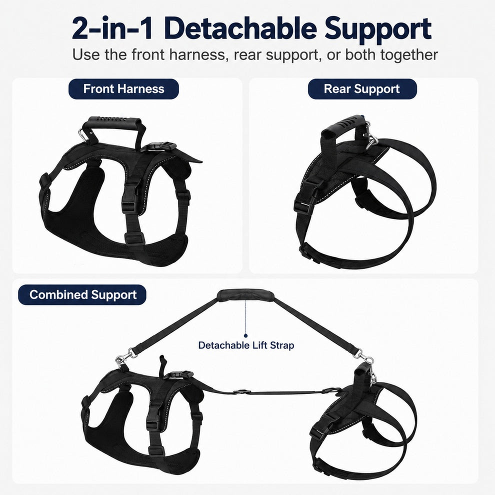 Paws in Awe Full-Body Dog Lift Harness for Large Dogs - Front & Rear Mobility Support for Stairs, Car Ramps and Weak Hind Legs image 8