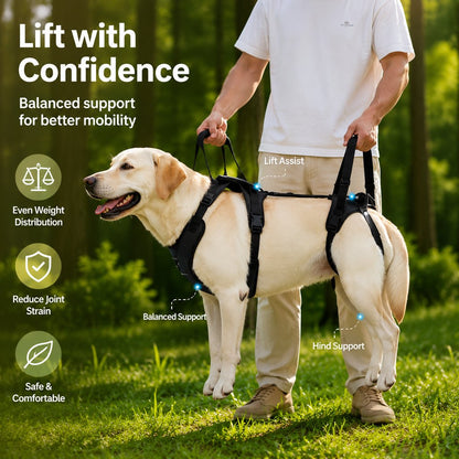 Paws in Awe Full-Body Dog Lift Harness for Large Dogs - Front & Rear Mobility Support for Stairs, Car Ramps and Weak Hind Legs image 2