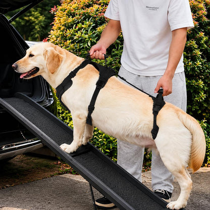 Paws in Awe Full-Body Dog Lift Harness for Large Dogs - Front & Rear Mobility Support for Stairs, Car Ramps and Weak Hind Legs image 1