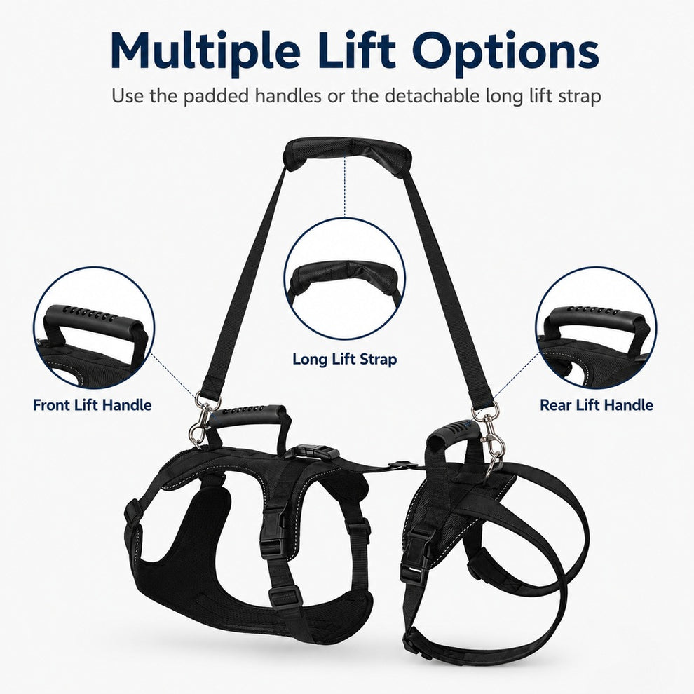 Paws in Awe Full-Body Dog Lift Harness for Large Dogs - Front & Rear Mobility Support for Stairs, Car Ramps and Weak Hind Legs image 7