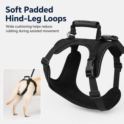 Paws in Awe Full-Body Dog Lift Harness for Large Dogs - Front & Rear Mobility Support for Stairs, Car Ramps and Weak Hind Legs image 6