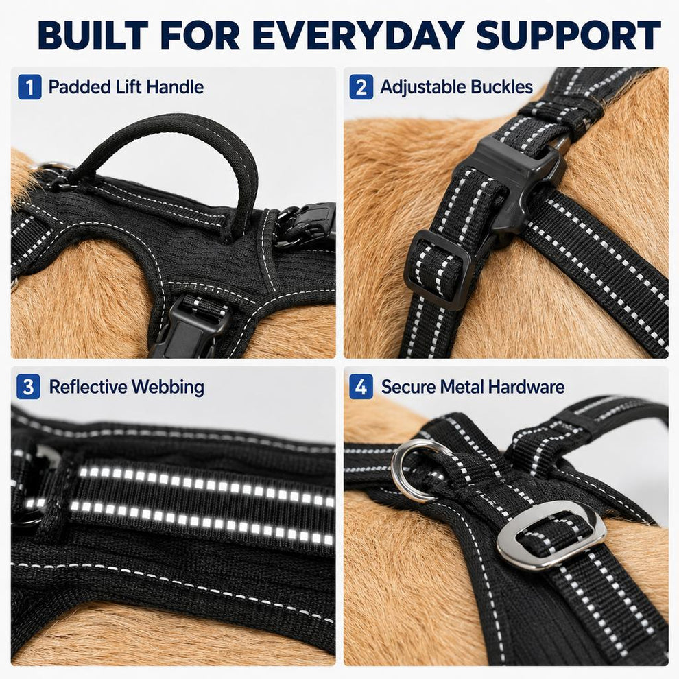 Paws in Awe Full Body Dog Lift Harness for Stairs & Car - Mobility Support for Weak Hind Legs image 8