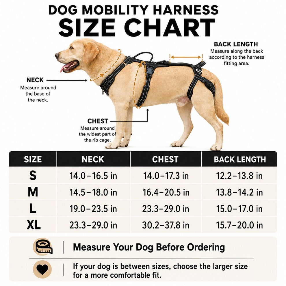 Paws in Awe Full Body Dog Lift Harness for Stairs & Car - Mobility Support for Weak Hind Legs image 9