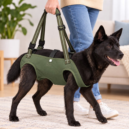 Army Green full-body dog lift harness providing walking support for a senior dog
