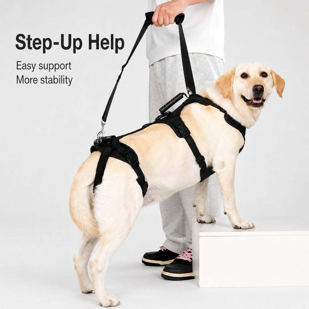 Paws in Awe Full-Body Dog Lift Harness for Large Dogs - Front & Rear Mobility Support for Stairs, Car Ramps and Weak Hind Legs image 4