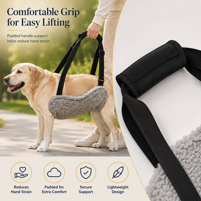Paws in Awe Dog Lift Support Sling for Stairs & Walks - Adjustable Mobility Harness for Senior Dogs with Weak Legs image 8