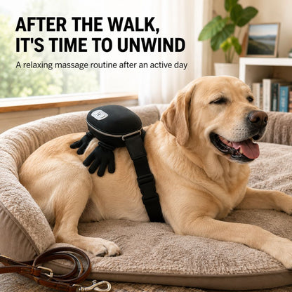 Dog massager for post-walk relaxation routine