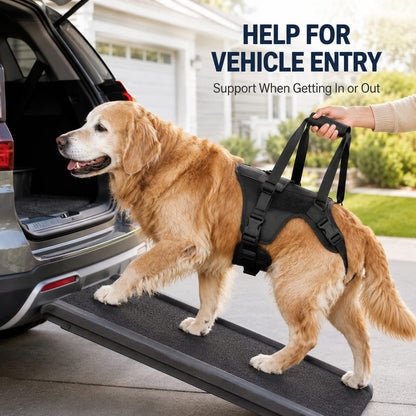 Dog mobility harness for vehicle entry support