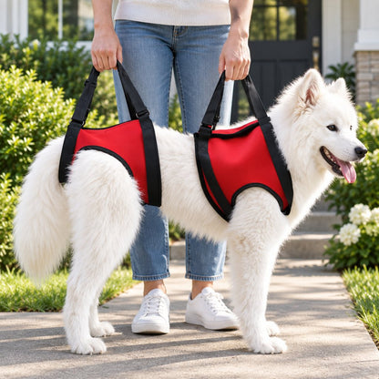 Red front and rear dog mobility lift harness support set