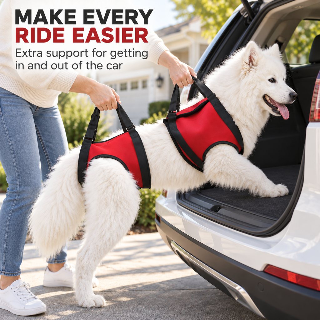 Dog mobility support harness for car entry assistance