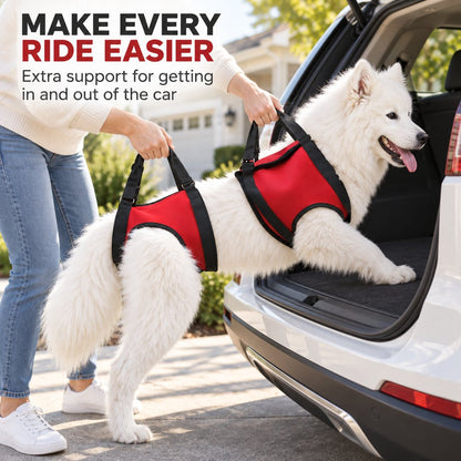 Dog mobility support harness for car entry assistance