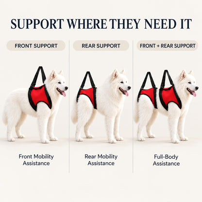 Front rear and full dog mobility harness support options