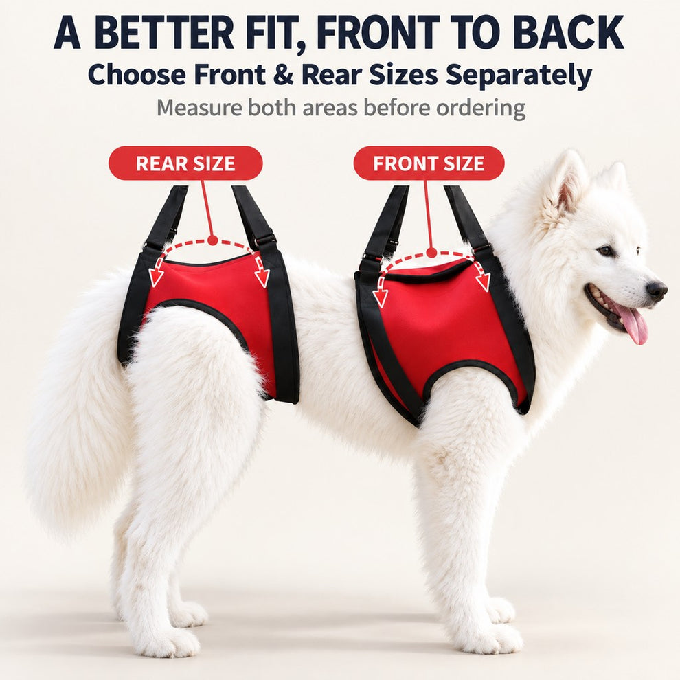 Front and rear dog lift harness sizing overview