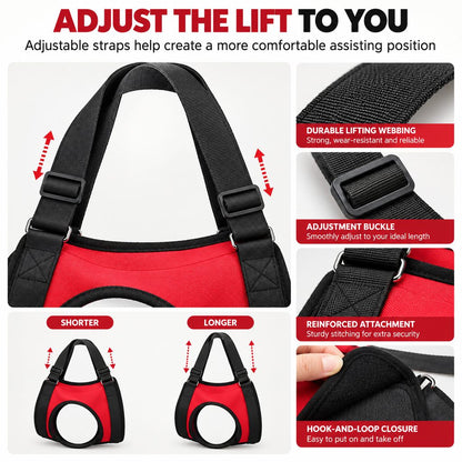 Adjustable straps on dog mobility lift support harness