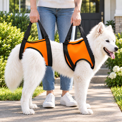 Orange front and rear dog mobility lift harness set