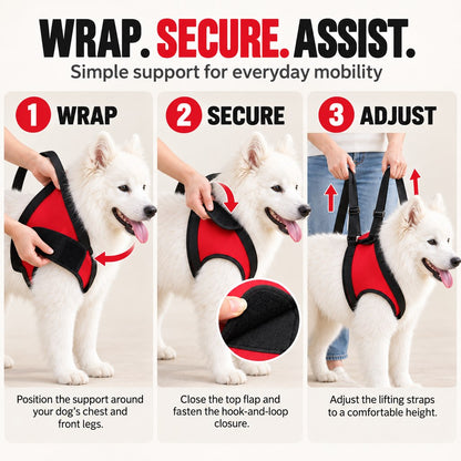 How to use the adjustable dog mobility lift harness