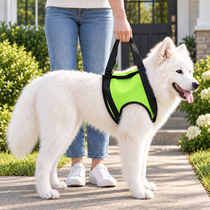 Green front support dog mobility lift harness