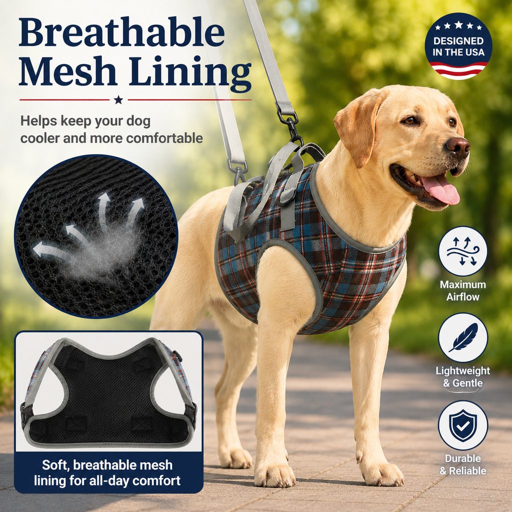 Paws in Awe Dog Mobility Support Harness for Stairs & Cars - Front or Rear Lift Assist for Weak Legs image 2