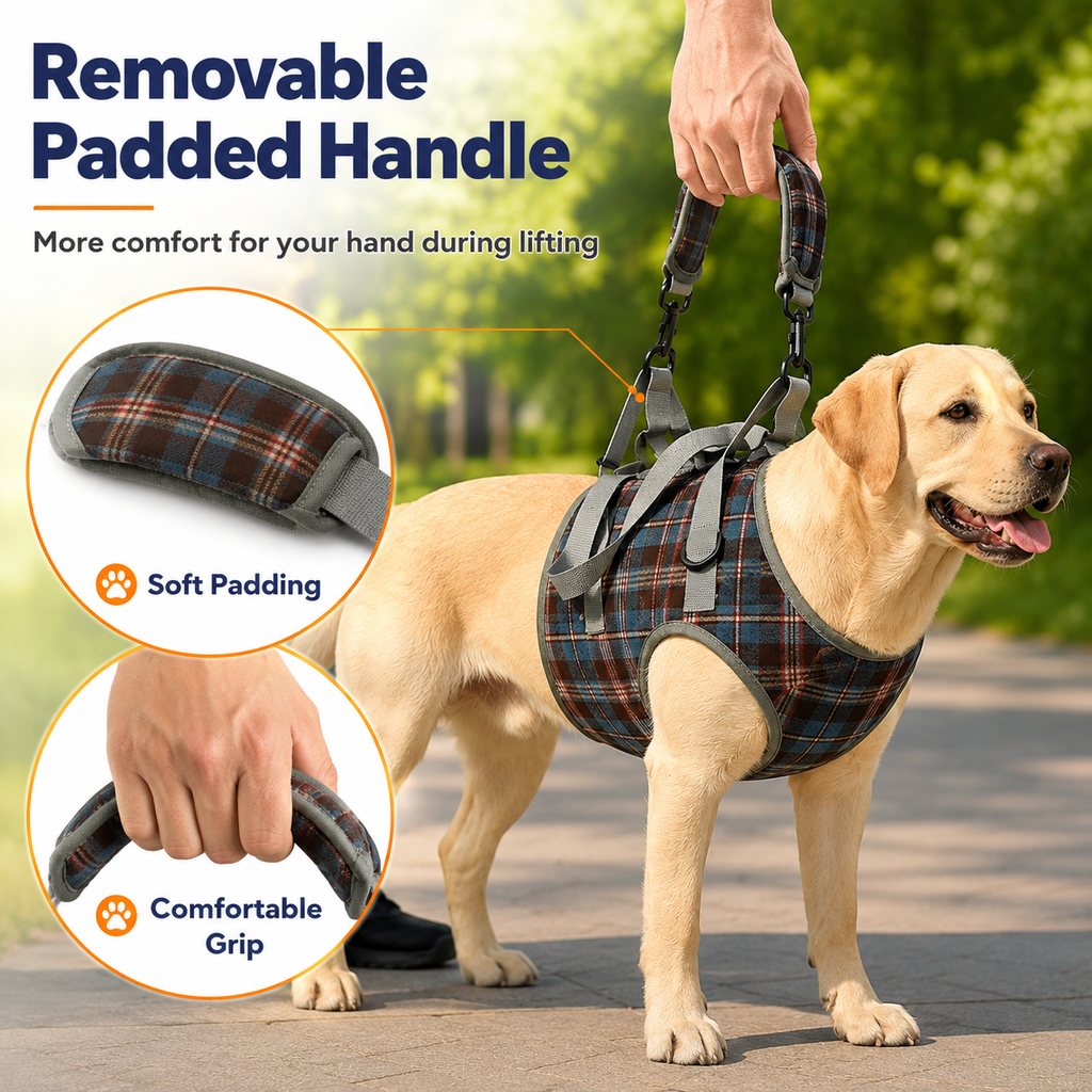 Paws in Awe Dog Mobility Support Harness for Stairs & Cars - Front or Rear Lift Assist for Weak Legs image 3