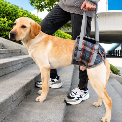 dog-mobility-support-harness-stair-assist