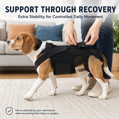 Paws in Awe Dog Back Support Brace for Senior & Recovering Dogs - Full-Body Mobility Vest for Walking Stability image 3