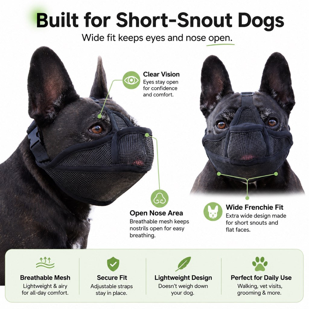 Dog muzzle for grooming vet visits and supervised care