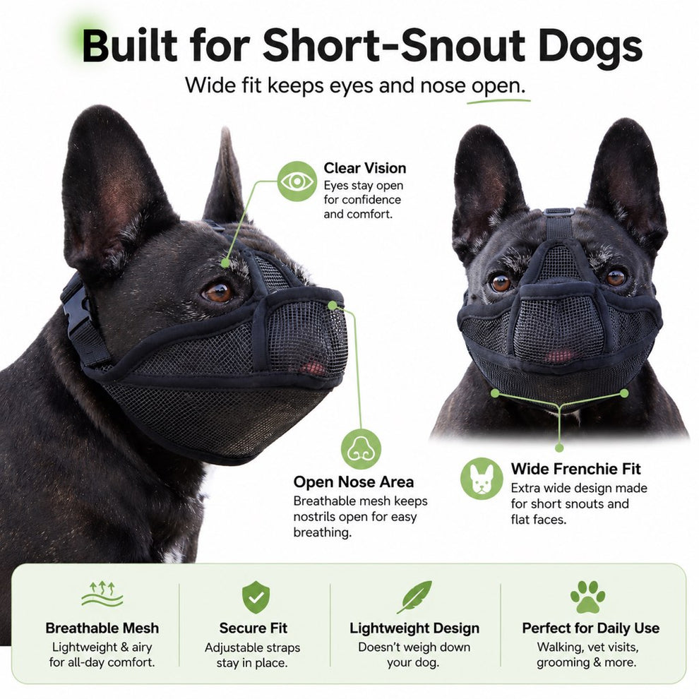 Dog muzzle for grooming vet visits and supervised care
