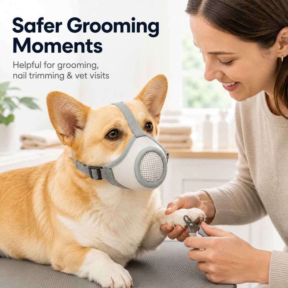 Paws in Awe Breathable Dog Muzzle for Walks, Grooming & Vet Visits - Soft Adjustable Mesh Muzzle to Help Reduce Biting, Chewing & Barking image 3