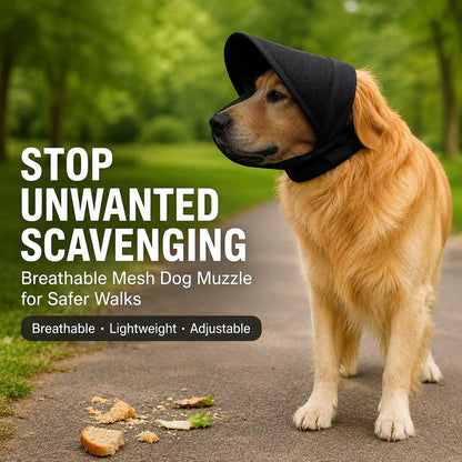 Paws in Awe Breathable Anti-Scavenging Dog Muzzle for Walks - Mesh Hood Helps Block Food Scraps & Trash image 2