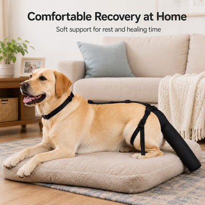 Paws in Awe Adjustable Dog Tail Protector for Recovery & Daily Walks - Padded Guard for Sensitive Tails