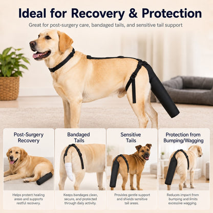 Paws in Awe Adjustable Dog Tail Protector for Recovery & Daily Walks - Padded Guard for Sensitive Tails