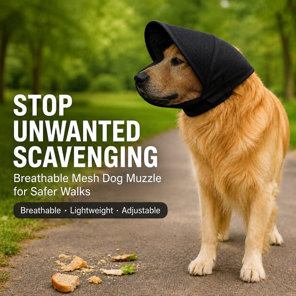 Paws in Awe Breathable Anti-Scavenging Dog Muzzle for Walks - Mesh Hood Helps Block Food Scraps & Trash image 6