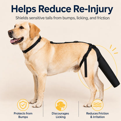 Paws in Awe Adjustable Dog Tail Protector for Recovery & Daily Walks - Padded Guard for Sensitive Tails