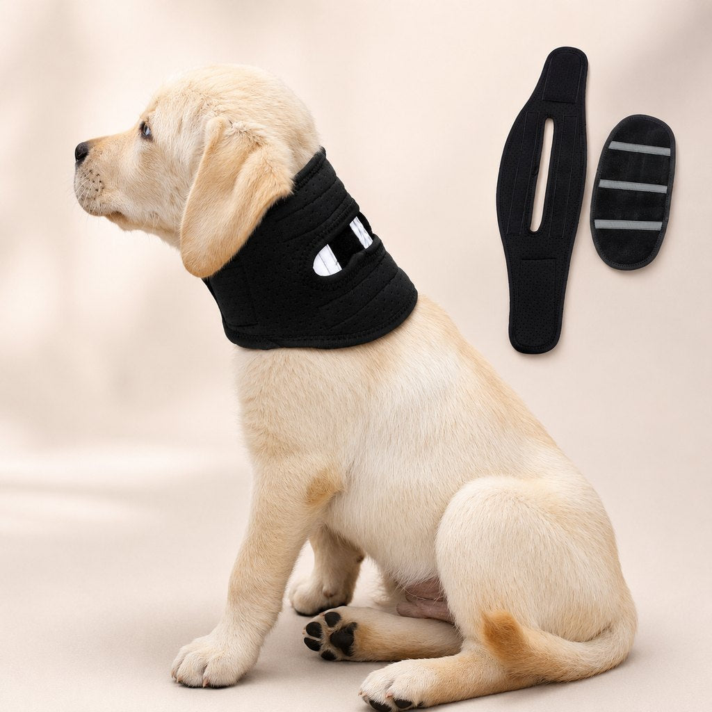 Paws in Awe Dog Neck Brace for Post-Surgery Recovery & Daily Neck Support - Soft Adjustable Collar for Comfortable Home Healing image 1