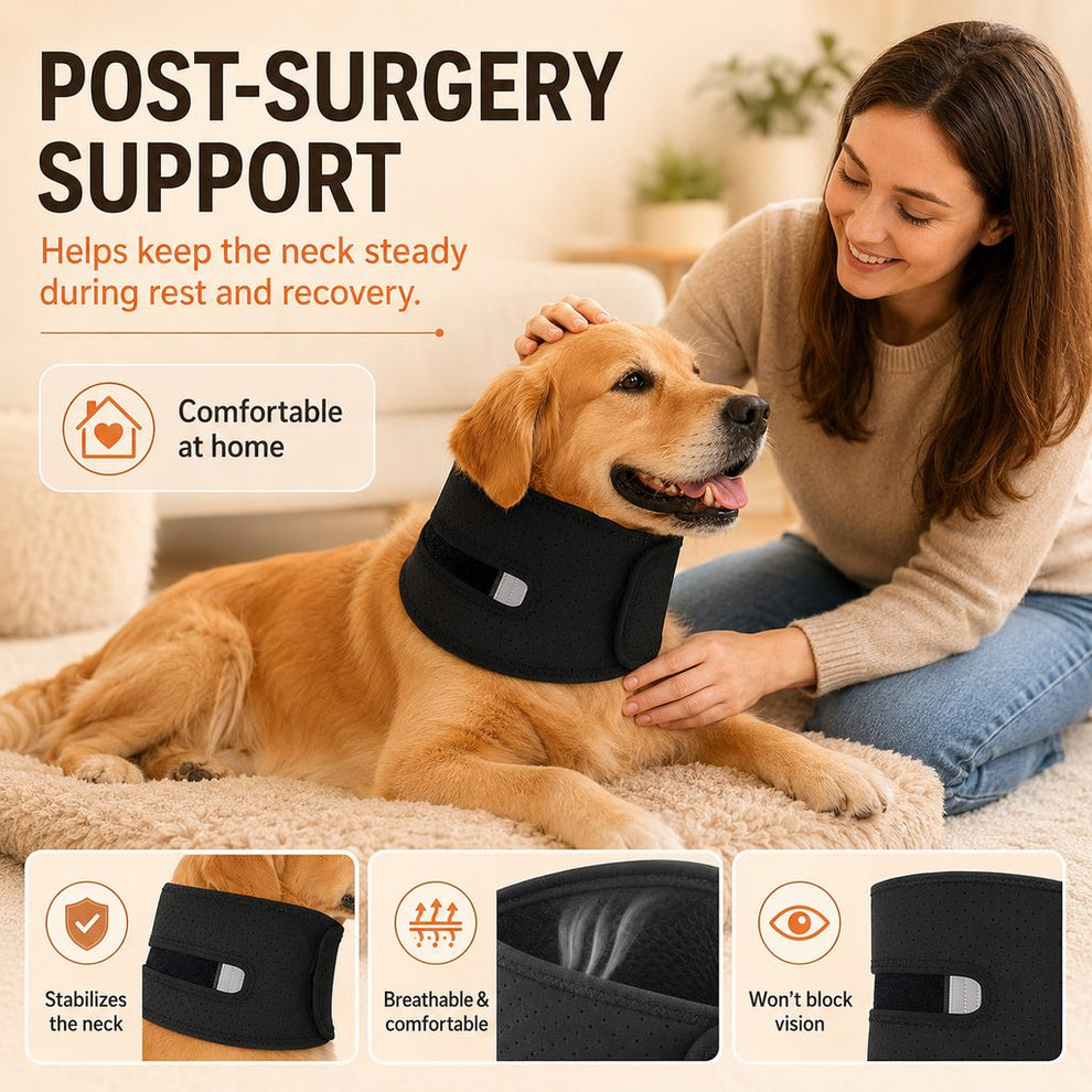 Paws in Awe Dog Neck Brace for Post-Surgery Recovery & Daily Neck Support - Soft Adjustable Collar for Comfortable Home Healing image 2