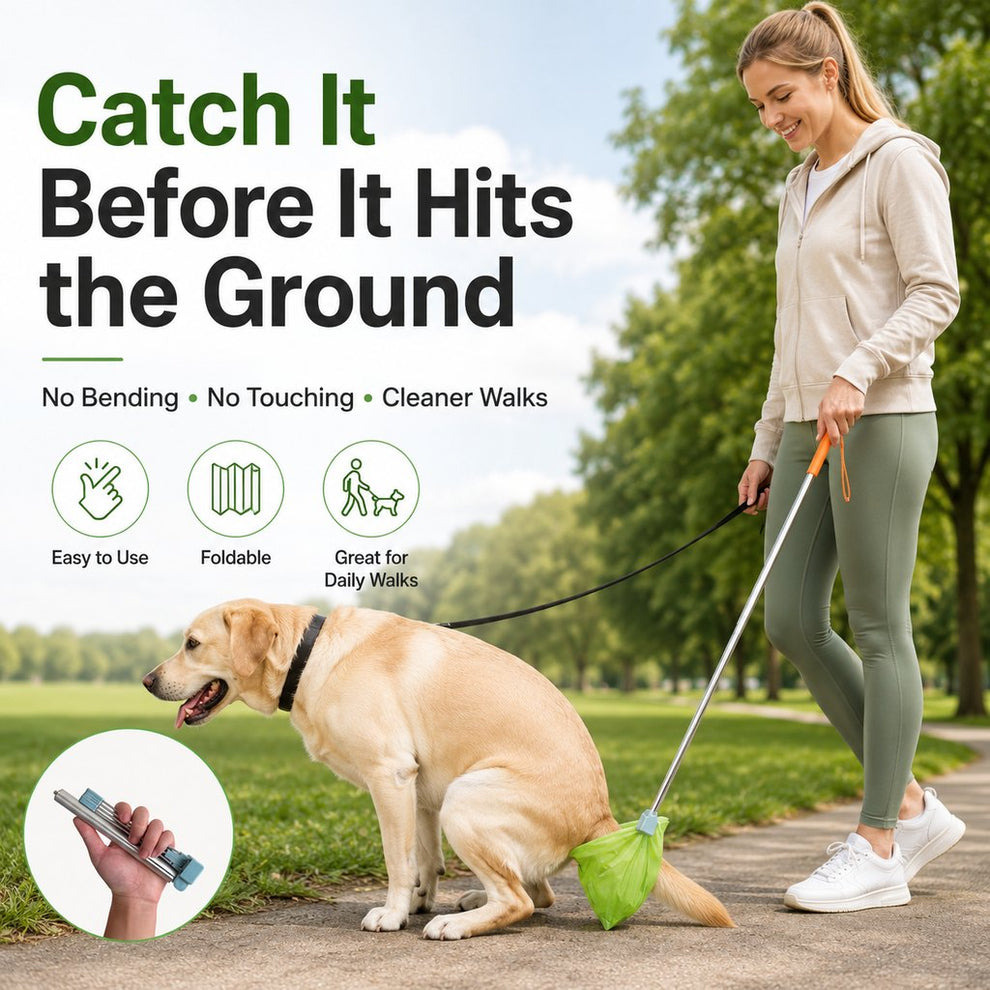 Paws in Awe Foldable Dog Poop Catcher for Walks - No-Bend Waste Pickup Tool with Telescopic Handle image 4