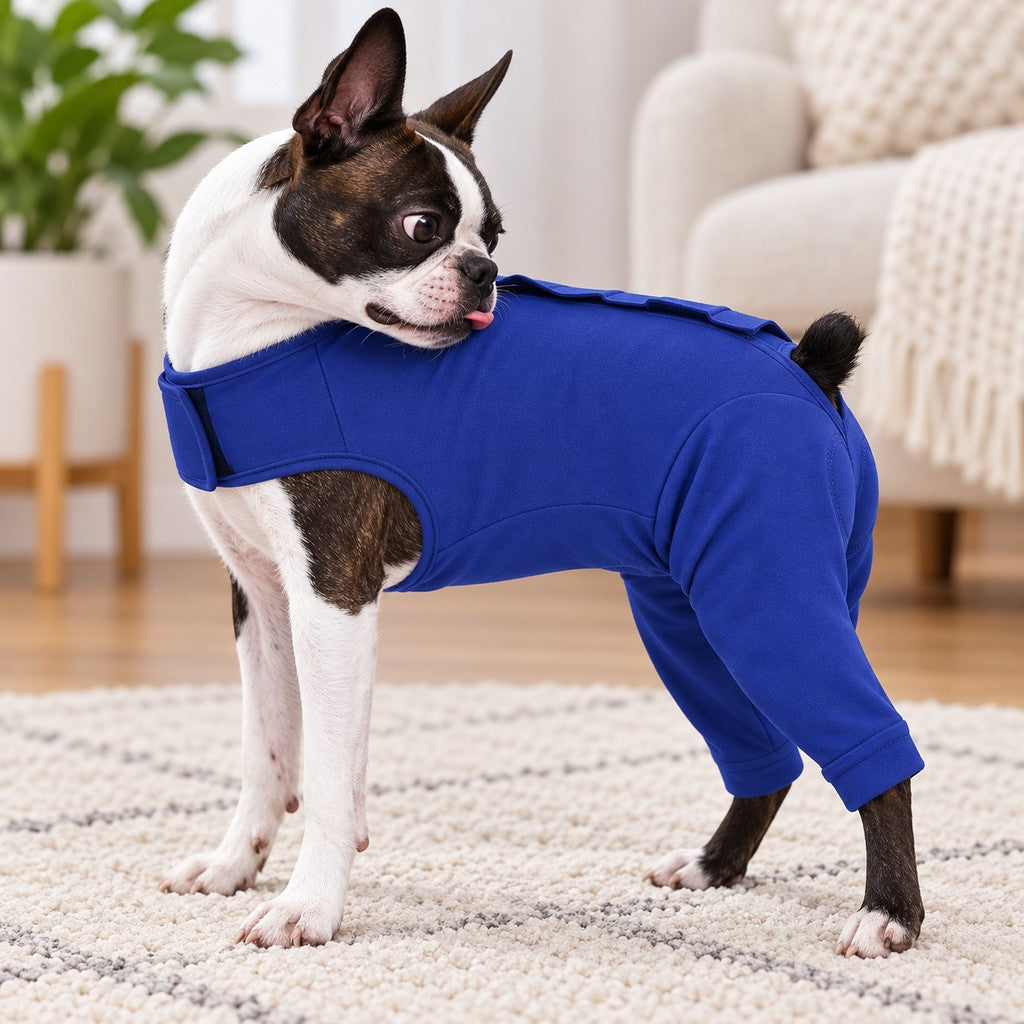 Paws in Awe Dog Post-Surgery Recovery Suit - Rear Leg Anti-Lick Cone Alternative image 1