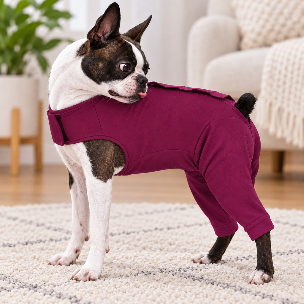 Paws in Awe Dog Post-Surgery Recovery Suit - Rear Leg Anti-Lick Cone Alternative image 4