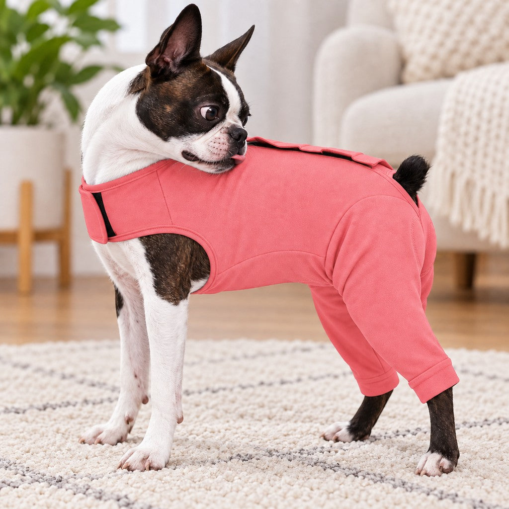 Paws in Awe Dog Post-Surgery Recovery Suit - Rear Leg Anti-Lick Cone Alternative image 3