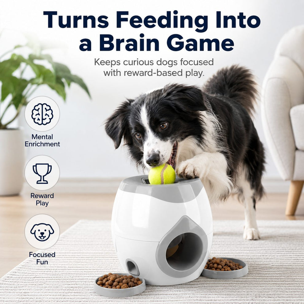 Dog puzzle feeder turns feeding into a reward-based brain game.