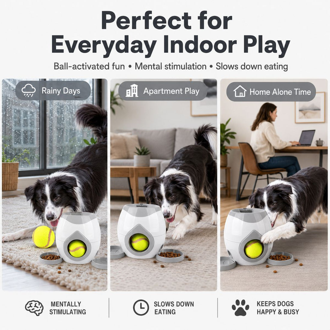 Dog puzzle feeder for rainy days, apartment play, and home-alone enrichment.