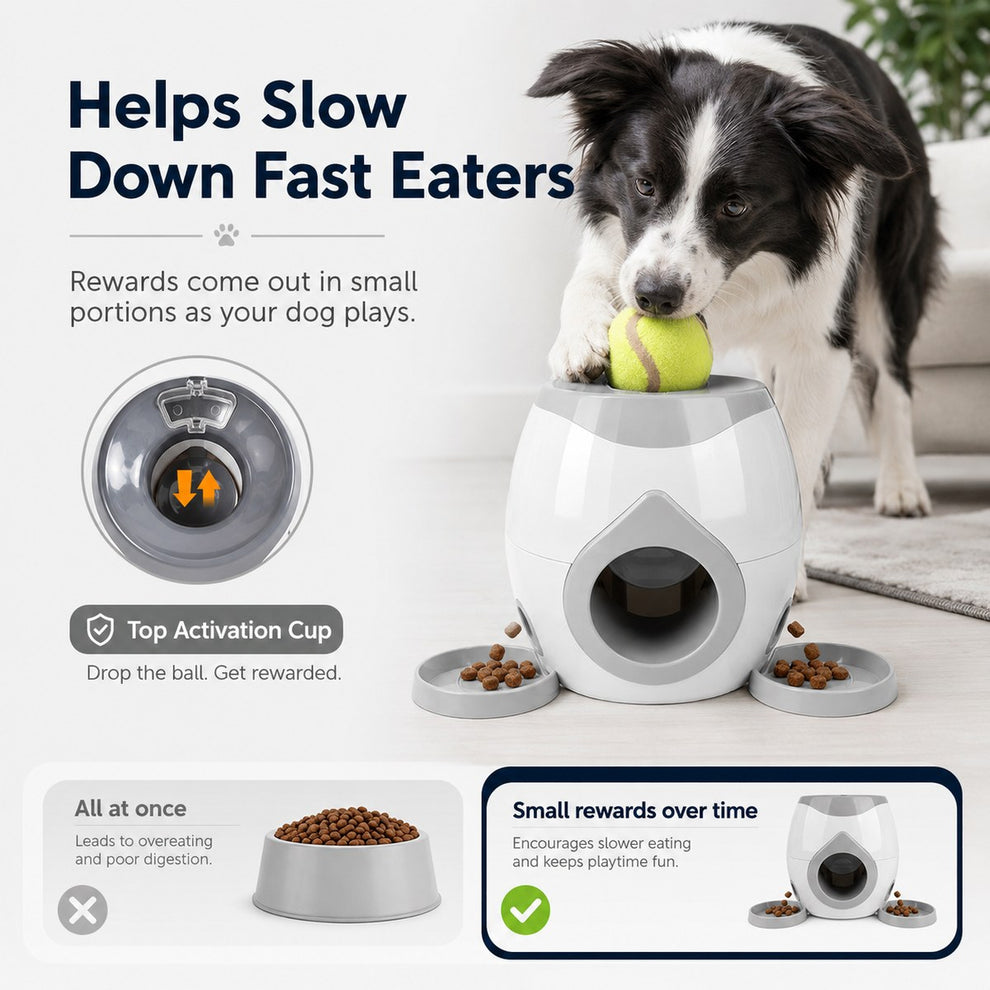 Ball-activated dog puzzle feeder releases small rewards over time for fast eaters.