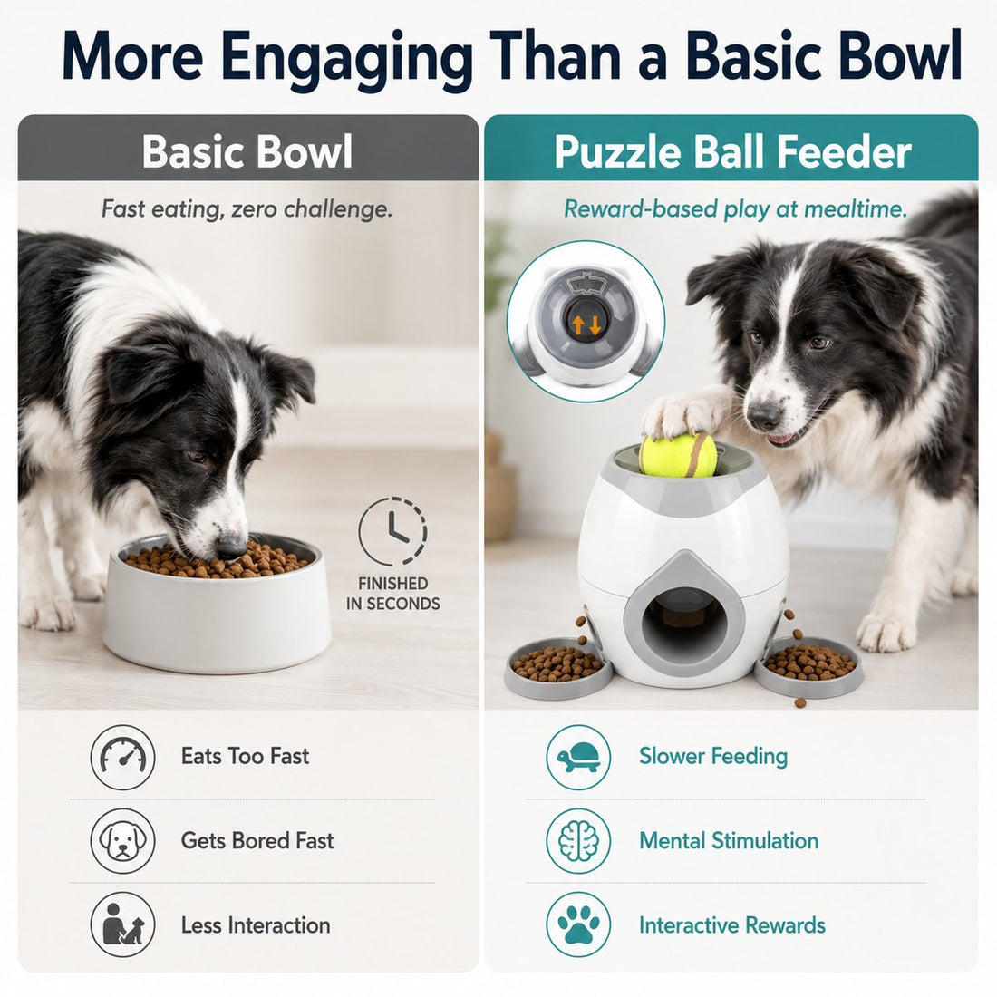 Dog puzzle feeder compared with a basic dog bowl for slower feeding and more engagement.
